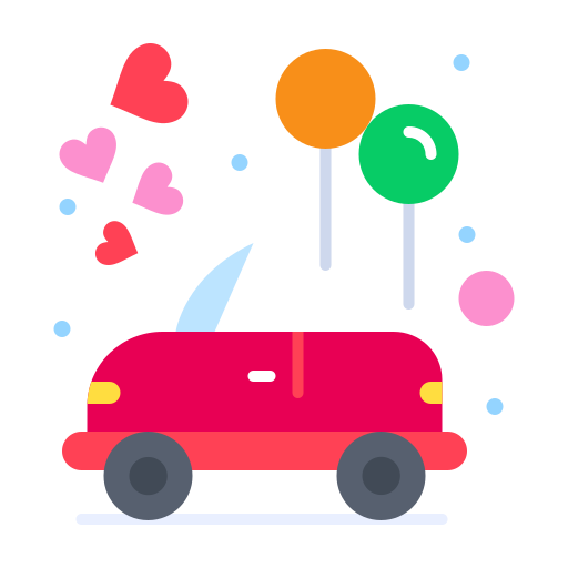 Car Dikki Decoration