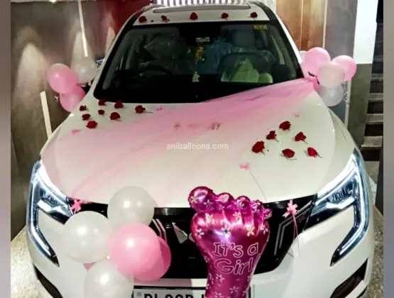 Little Girl Welcome Car Decor