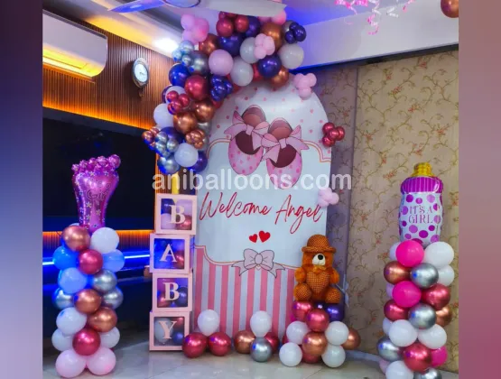 Baby Girl Welcome Flex Decor