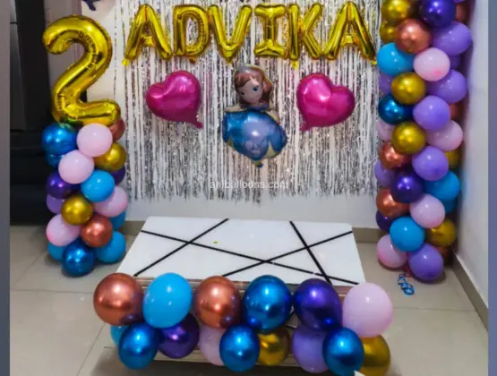 Sofia Princess Birthday Decor