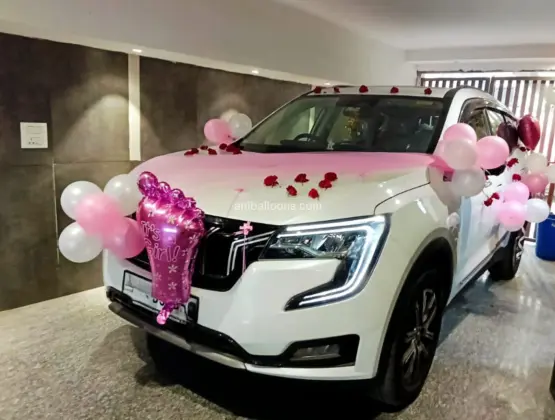 Little Princess Welcome With Car Decor