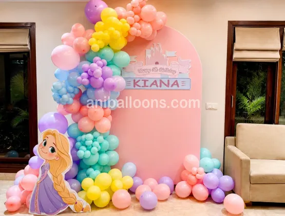 Disney Princess Theme Decoration