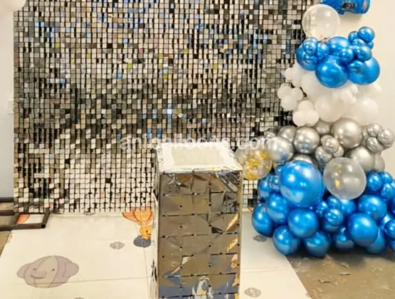 Frozen Theme Birthday Decoration with Cake Table