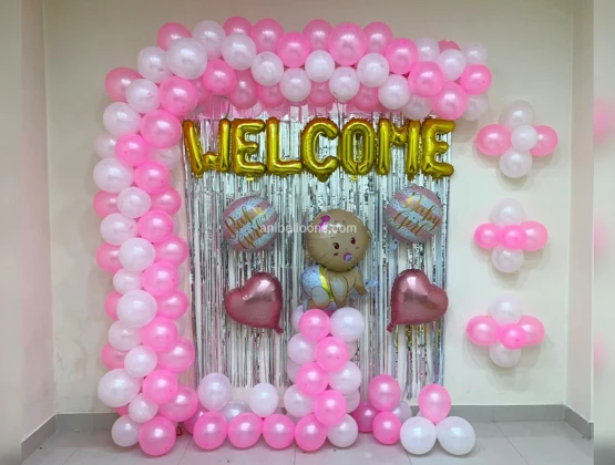 Baby Welcome Backdrop for Girl