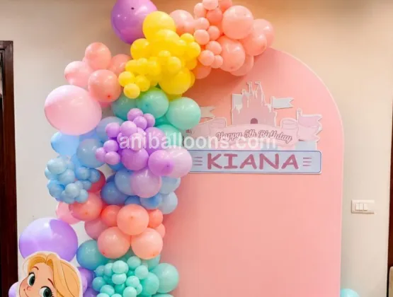 Disney Princess Theme Decoration