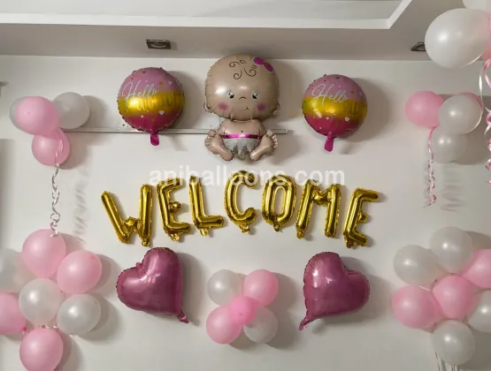 Baby Welcome Decoration Girl Theme