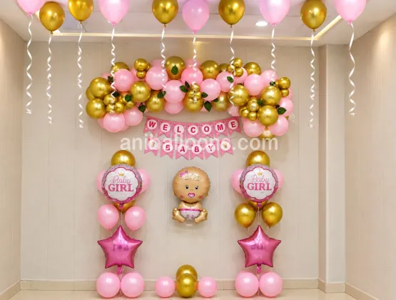Newborn Girl Welcome Decoration