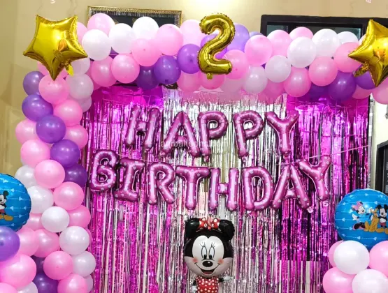 Minnie Mouse Cartoon Setup