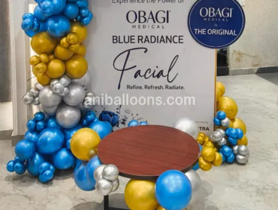Balloon Backdrop Decoration